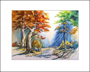 2021 Nr. 386 herbstlicher Waldweg