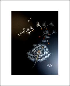 2023 Nr. 506 Pusteblume (Black)