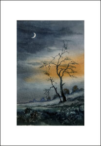 2025 Nr. 645 Herbstabend 2025 Nr. 645 Herbstabend