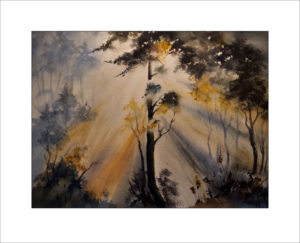 Sonne im Wald – 40 x50cm,( Nr. 185)