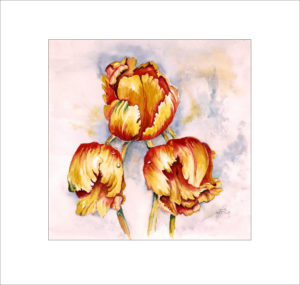 französische Tulpen (2) (Nr 36)