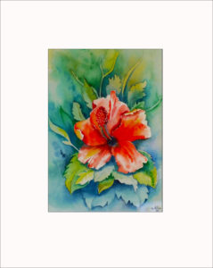 Hibiskusblüte – 40 x 50 cm (Nr. 103)