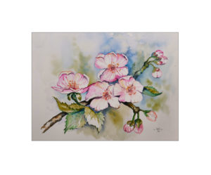 Kirschblüten – 40 x 50 cm (Nr. 264)