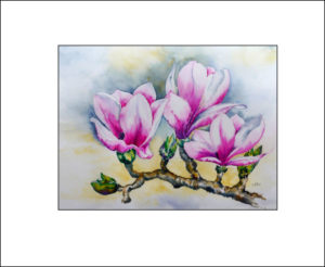 Magnolienblütenzweig (2) ,50 x 70 cm